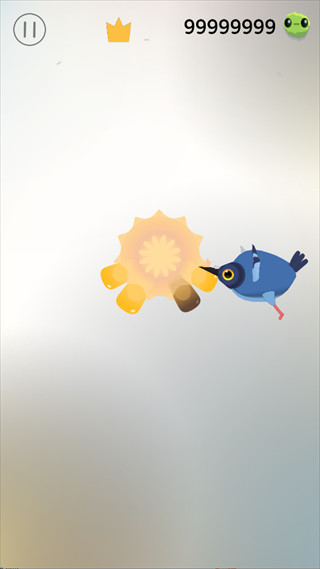 疯狂的鸽子全皮肤版