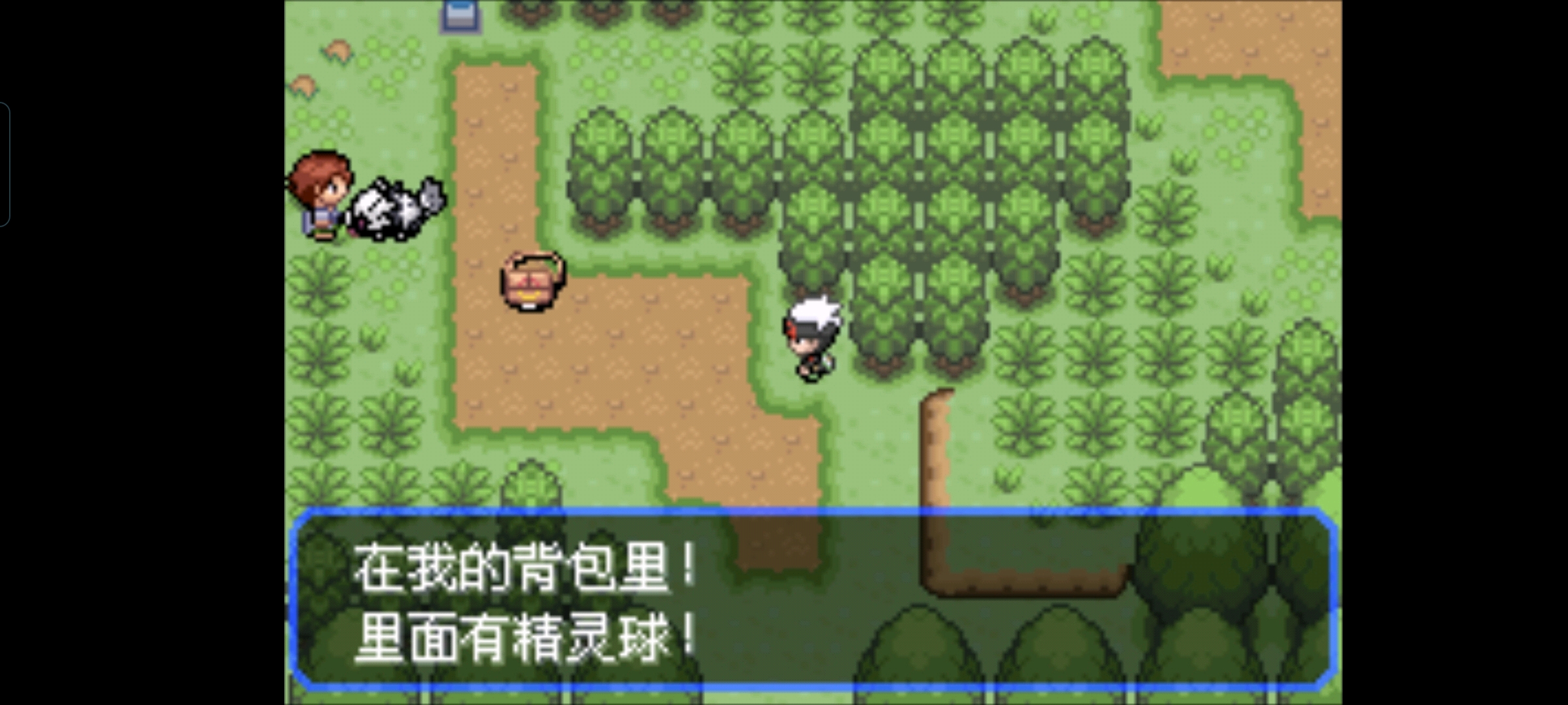 口袋妖怪究极绿宝石5.5