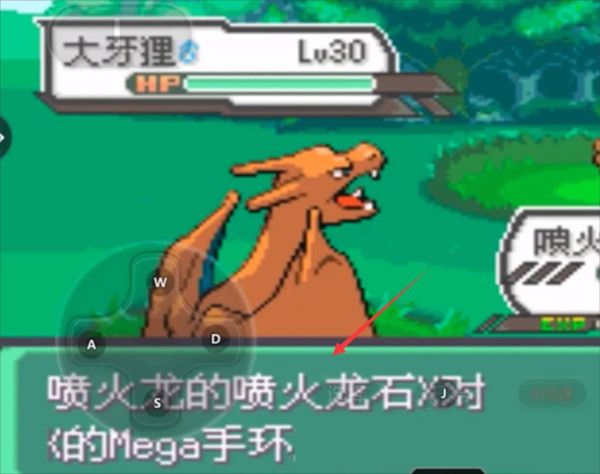 口袋妖怪绿宝石随机版