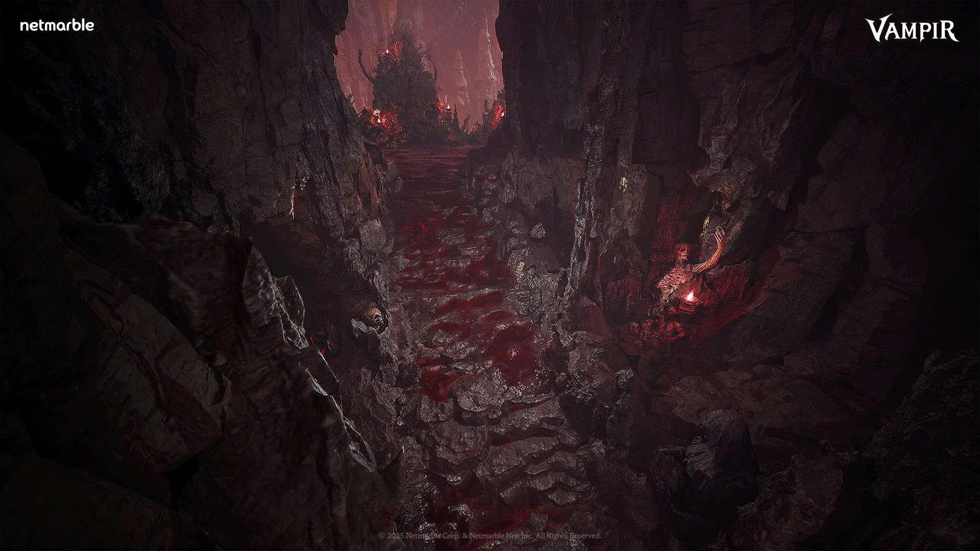 吸血鬼血之继承者国际服