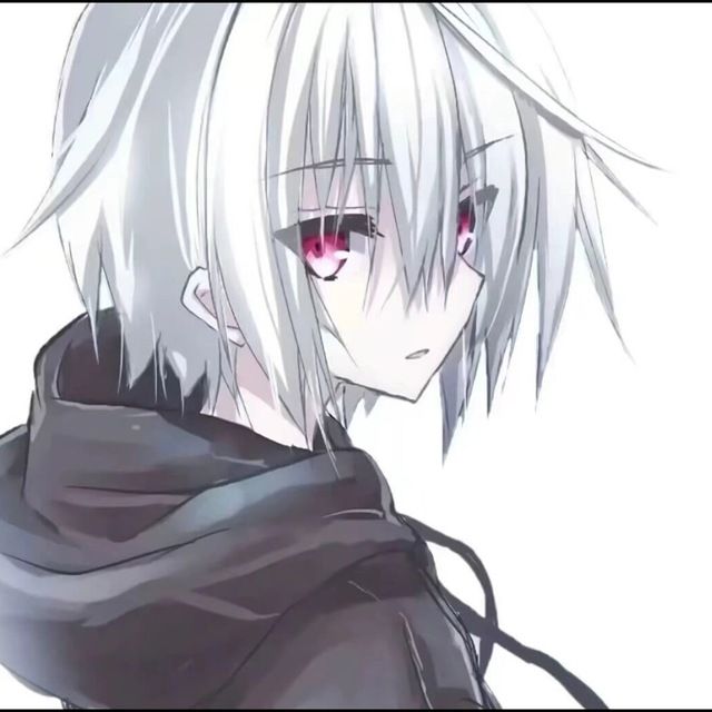 夜景端口app官方最新版