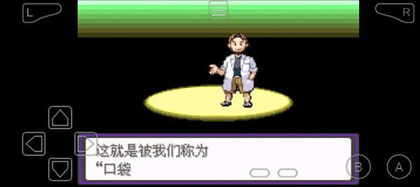 口袋妖怪漆黑的魅影6.0最新版截图1