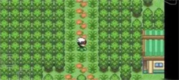 口袋妖怪究极绿宝石纪念版