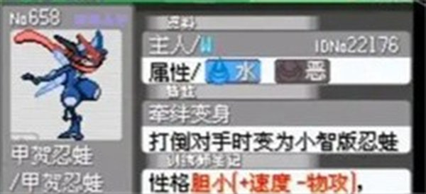 口袋妖怪究极绿宝石纪念版