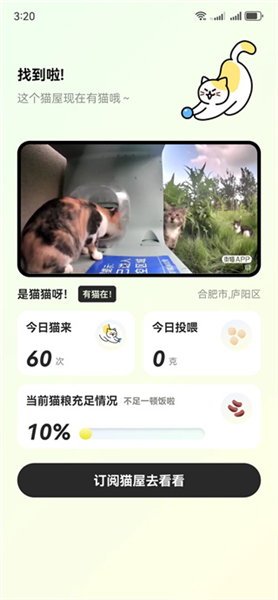 哈啰街猫