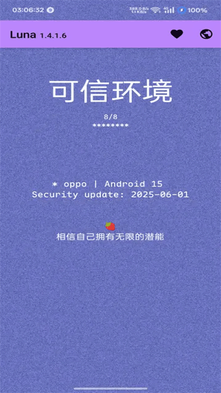 Luna环境检测工具