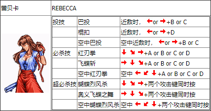 双截龙格斗