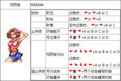 双截龙格斗