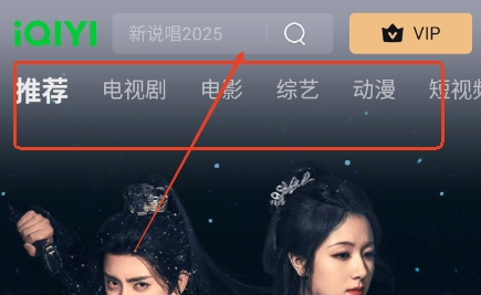 iQIYI国际版