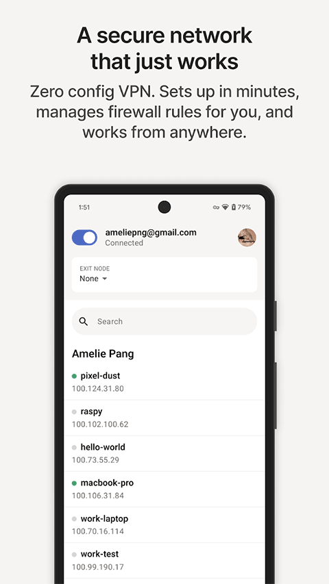 Tailscale自建服务器app截图1