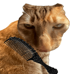 给猫梳毛游戏免费版(brush Jjaemu)