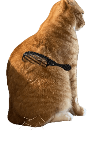给猫梳毛游戏免费版(brush Jjaemu)截图1