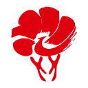 放新办App