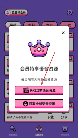 会员提示窗口
