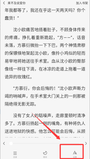 文字设置选项