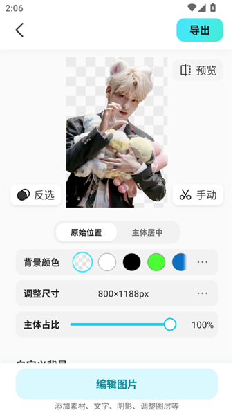 椰子设计
