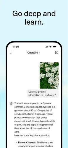 ChatGPT手机版截图1