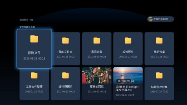 海康智存TV版截图1