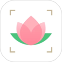 识花大师手机版