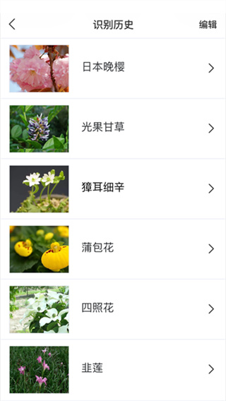 识花大师手机版截图1
