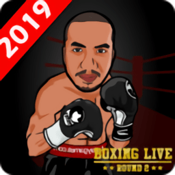 训练自己的拳击手(Boxing Live)官方版