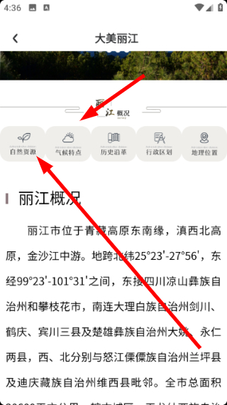 大美丽江专区界面