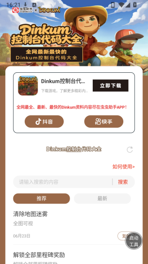 Dinkum控制台代码大全怎么用配图1