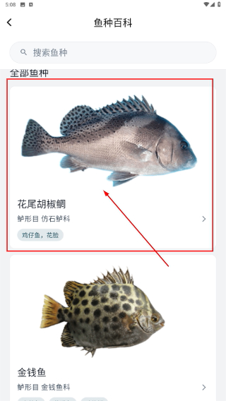 怎么用配图3