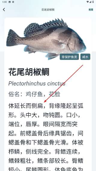 怎么用配图4