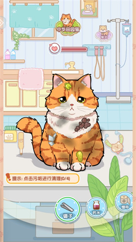 救助小猫