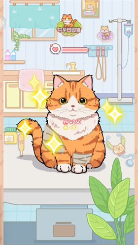 治疗猫咪