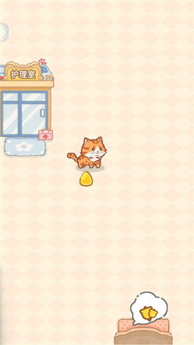猫咪入住