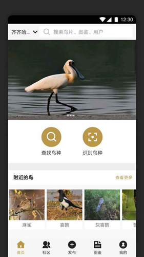 识鸟家官方版截图1
