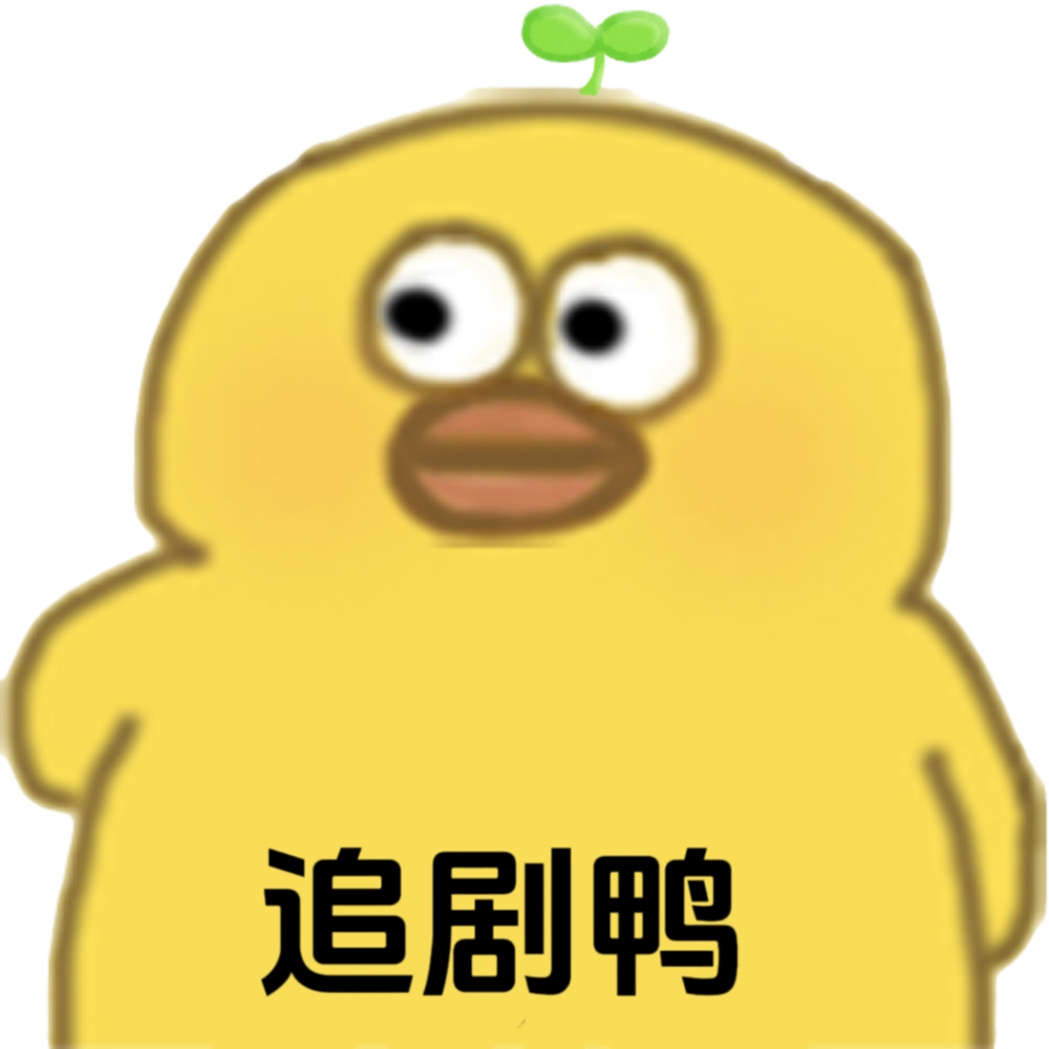 追剧鸭影视APP