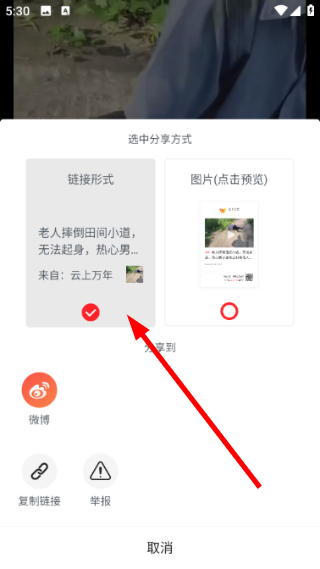 怎么分享视频链接配图2