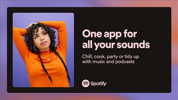 Spotifytv版apk安装包截图1