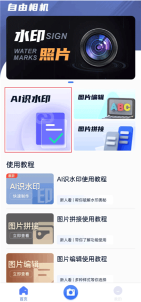 AI识水印入口