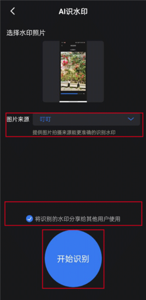 选择水印类型并开始识别