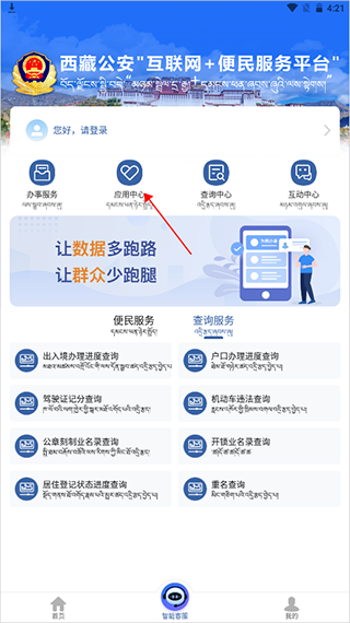 应用中心入口界面