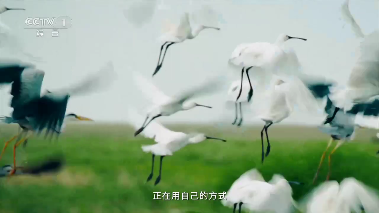 赛雷TV全屏