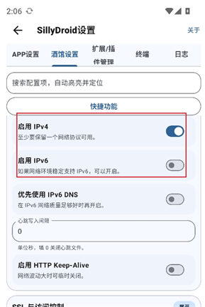 IPv4 IPv6开关