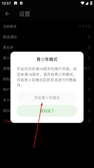 怎么开启青少年模式配图3